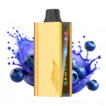 JNR Cruiser Blueberry Blast