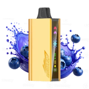 JNR Cruiser Blueberry Blast