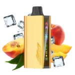 JNR Cruiser Peach Ice